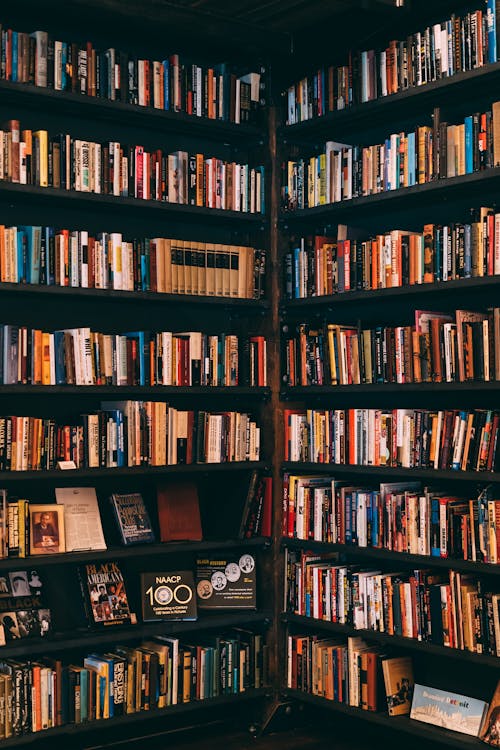 Virtual Library  / Biblioteca Virtual